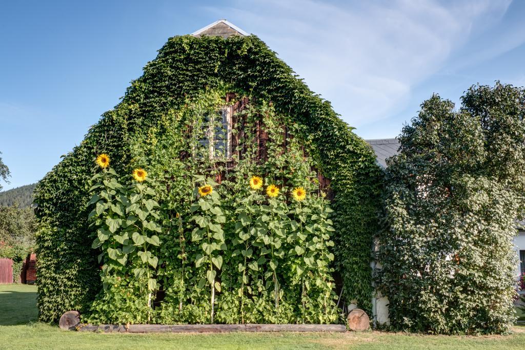 Pension Pod Morskym Okem Karlovice (Moravia-Silesia) Exterior photo
