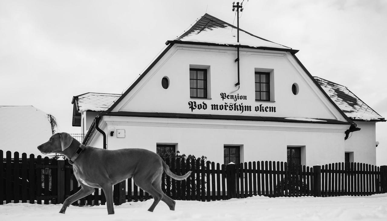 Pension Pod Morskym Okem Karlovice (Moravia-Silesia) Exterior photo